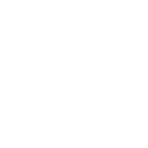 Grundlagen des Fliegens Icon FlugZeit — Jahnsdorf — Flugcoach/ Flugtrainer